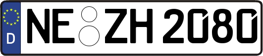 NE-ZH2080