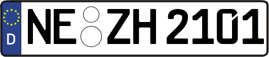 NE-ZH2101
