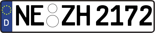 NE-ZH2172