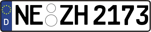 NE-ZH2173