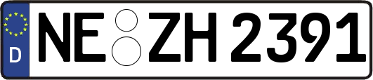 NE-ZH2391