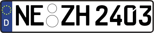 NE-ZH2403