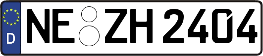 NE-ZH2404