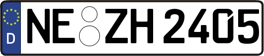 NE-ZH2405