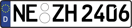 NE-ZH2406