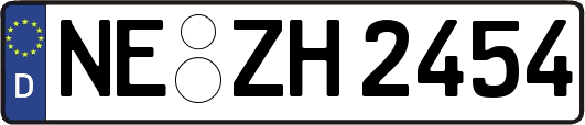 NE-ZH2454