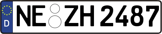 NE-ZH2487