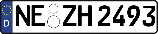 NE-ZH2493