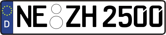 NE-ZH2500