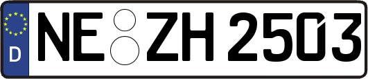 NE-ZH2503