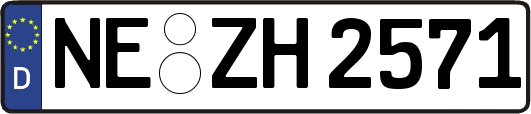 NE-ZH2571