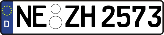 NE-ZH2573
