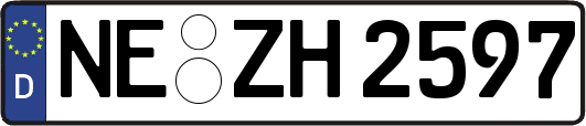 NE-ZH2597