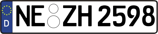 NE-ZH2598