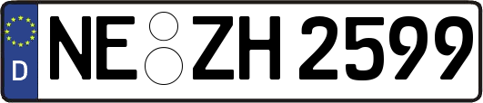 NE-ZH2599