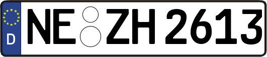 NE-ZH2613