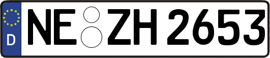 NE-ZH2653