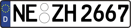 NE-ZH2667