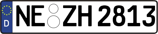 NE-ZH2813