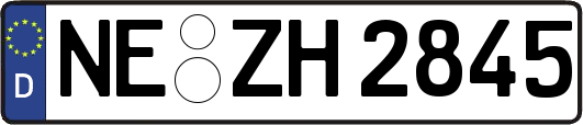 NE-ZH2845