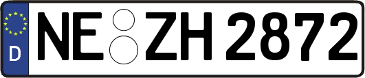 NE-ZH2872