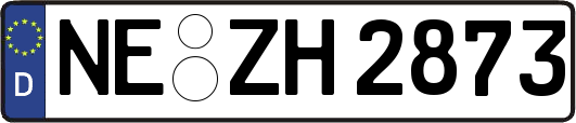 NE-ZH2873