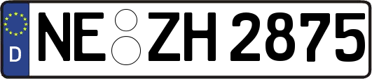 NE-ZH2875