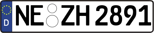 NE-ZH2891