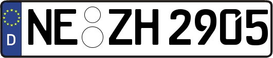 NE-ZH2905