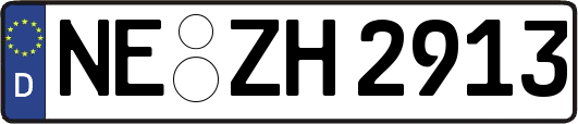 NE-ZH2913