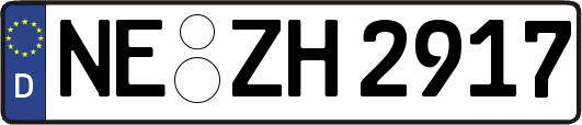 NE-ZH2917