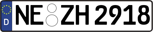 NE-ZH2918