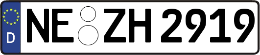 NE-ZH2919