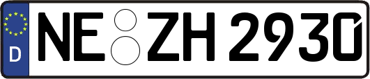 NE-ZH2930