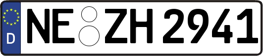 NE-ZH2941