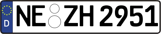 NE-ZH2951