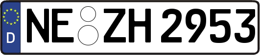 NE-ZH2953