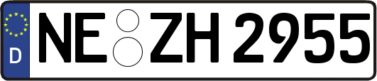 NE-ZH2955