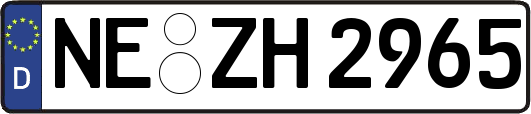 NE-ZH2965