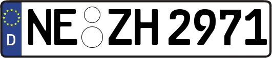 NE-ZH2971