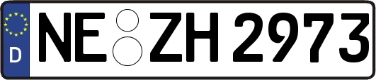 NE-ZH2973