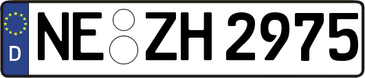 NE-ZH2975