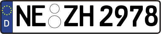 NE-ZH2978