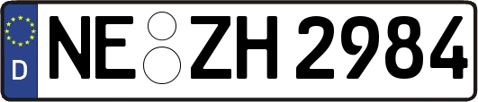 NE-ZH2984