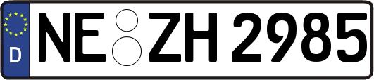 NE-ZH2985