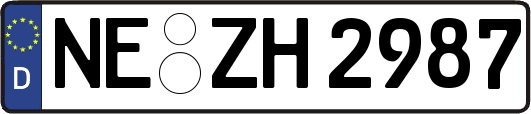 NE-ZH2987