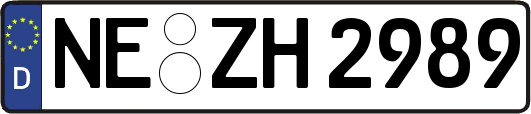 NE-ZH2989