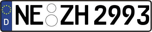 NE-ZH2993