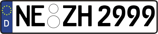 NE-ZH2999