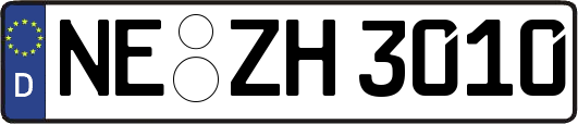 NE-ZH3010